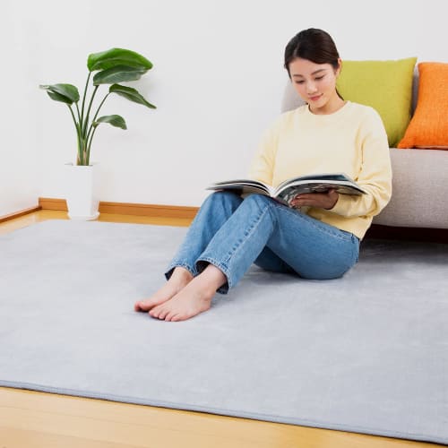 Astro Rug, Light Gray, 185 X 240 Cm (approximately 3 Tatami Mats), Washable, Warm Carpet, Moisture-Wicking, Heat-Generating, Antibacterial, Odor-Resis
