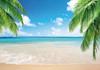 Hawaii Albastru Ocean Apus Plajă Fundal Tropical Vară Zonă Foto Fundal Copac de Cocos Val Nisip Vas Portret Fotografie Recuzită
