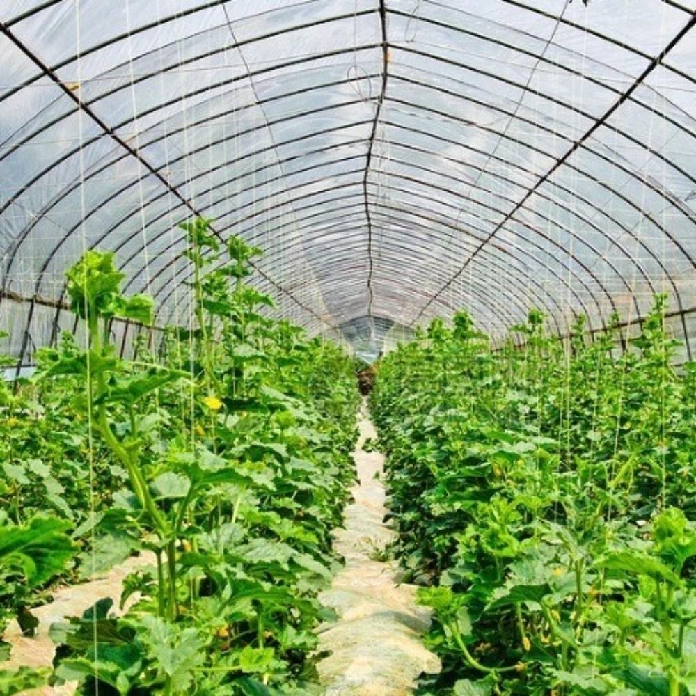 Adjustable Angle Greenhouses Air Circulator Fan Plastic Tent Air Blower  Greenhouse Environments