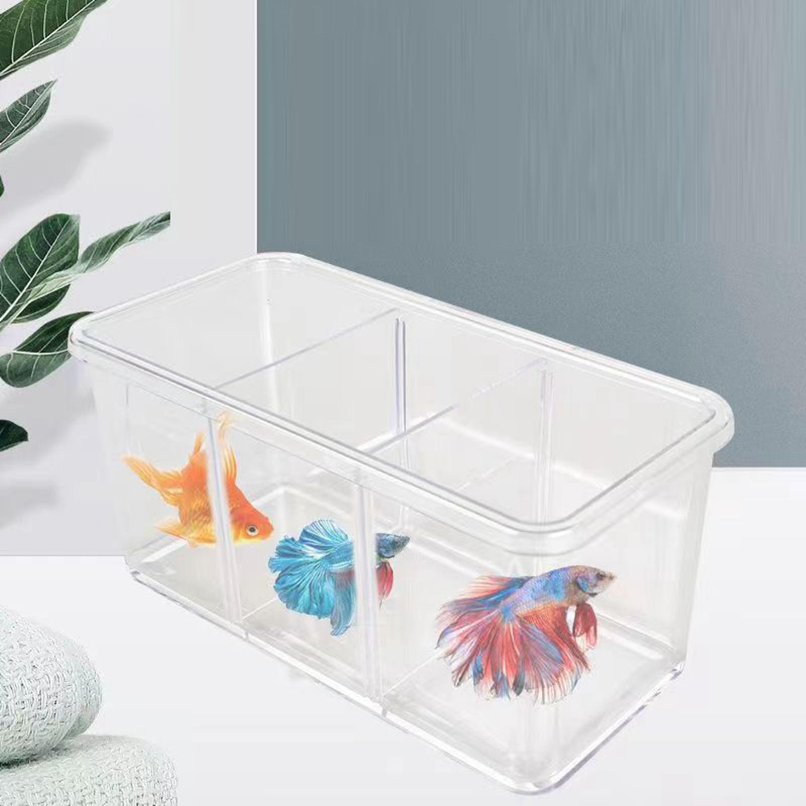 

Acrylic Fish Detachable 3 Areas Small Aquarium Desktop Ornamental Transparent Fish for