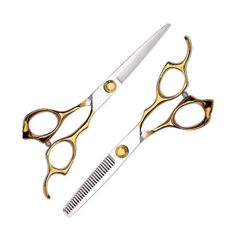 6-Inch Professional Hairdressing Scissors & Thinning Shears Set