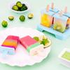Homemade Popsicle & Ice Cream Mold for Sorbet and Ice Cube Creation