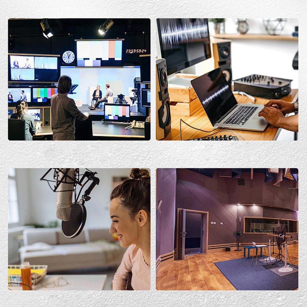 Microphone Isolation Shield Professional Absorbing Foam Panel Filter Vocal Foldable Recording Microphone Sound Shield