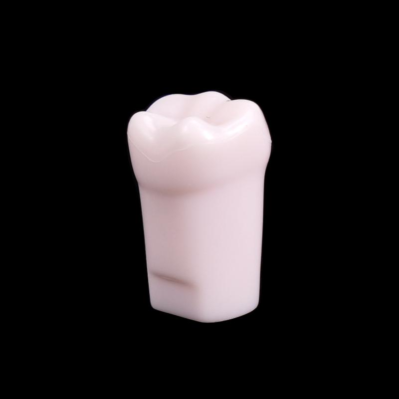 10Pcs Dental Typodont Teeth Model Removable Individual Screw-In Resin Denture Practice Tooth For Dental Studying Training