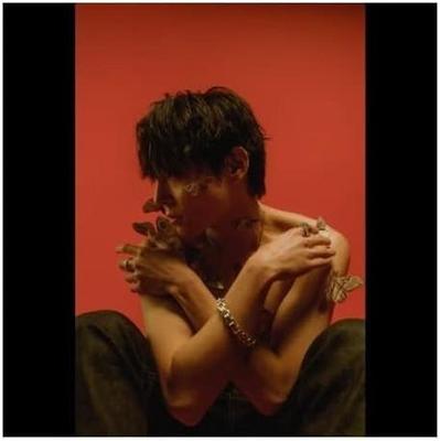 Woo Sung The Rose - Moth Album