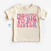 Promoted To Big Sister Shirt, Soon To Be a Big Sister Top, Pregnancy Announcet Shirt, Gift for New Sister, Big Sister Reveal Tee