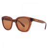Salvatore Ferragamo Brown Cat Eye Ladies Sunglasses Sf2000s 232 52 Multi