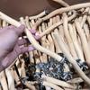 Parrot Perch Bird Stand Natural Tree Stick with Durable Fork Branch for Cage Grinding