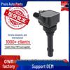 Compatible with BYD F01R00A065 High Voltage Car Ignition Coil Pack.