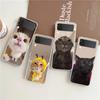 Transparent Phone Case For Samsung Galaxy Z Flip 3 4 5 6 7 Hard Folding PC Z Flip3 Flip4 Cover Funny Animal Cat