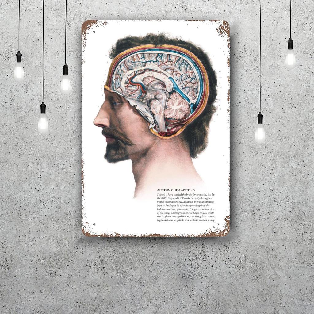 Brain Funny Bar Metal Sign Retro Plaque Vintage Sign Alcohol Drinker Pub Club Man Cave Kitchen Wall Decoration