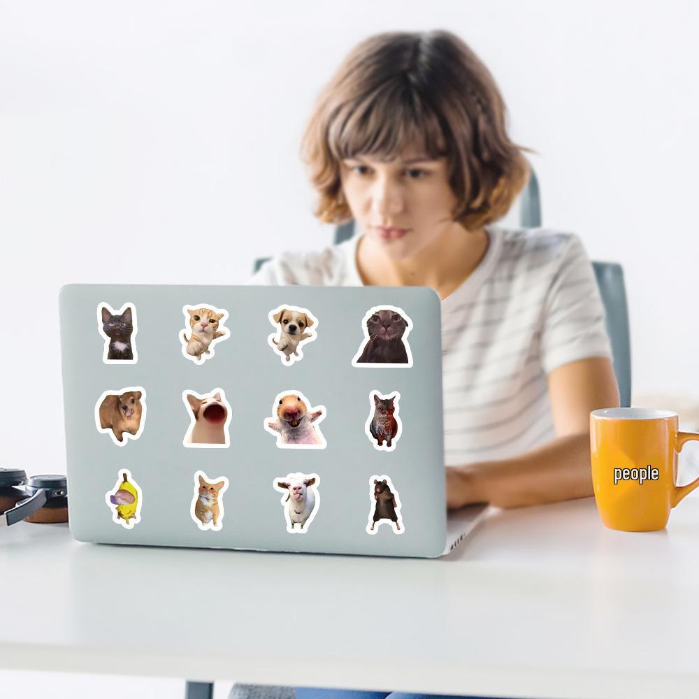 Cat Meme Sticker Roll: 500 Cute & Funny Stickers for DIY Projects, Phones & More