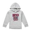 X-Men Childrens/Kids Magneto Pull Over Hoodie