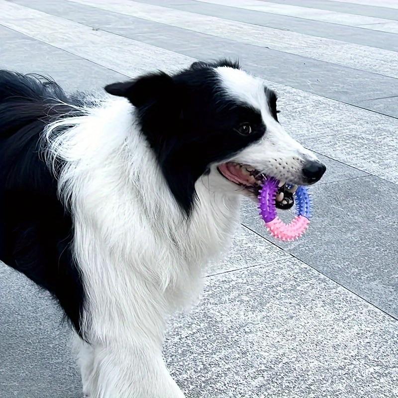 1pc TPR Dog Durable Chew Toys, Tricolor Spike Ring Dog Interactive Play Toys, Teeth Cleaning Training Toys Pet Supplies, Holiday Gifts