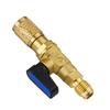Liquid Dosing Safety Valve R22 Automotive Air Conditioner Low-pressure Refrigerant Valve Globe Valve Fluorinated Accessories