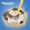 Toytron Discovery Mini Kit Dinosaur Fossil Excavation