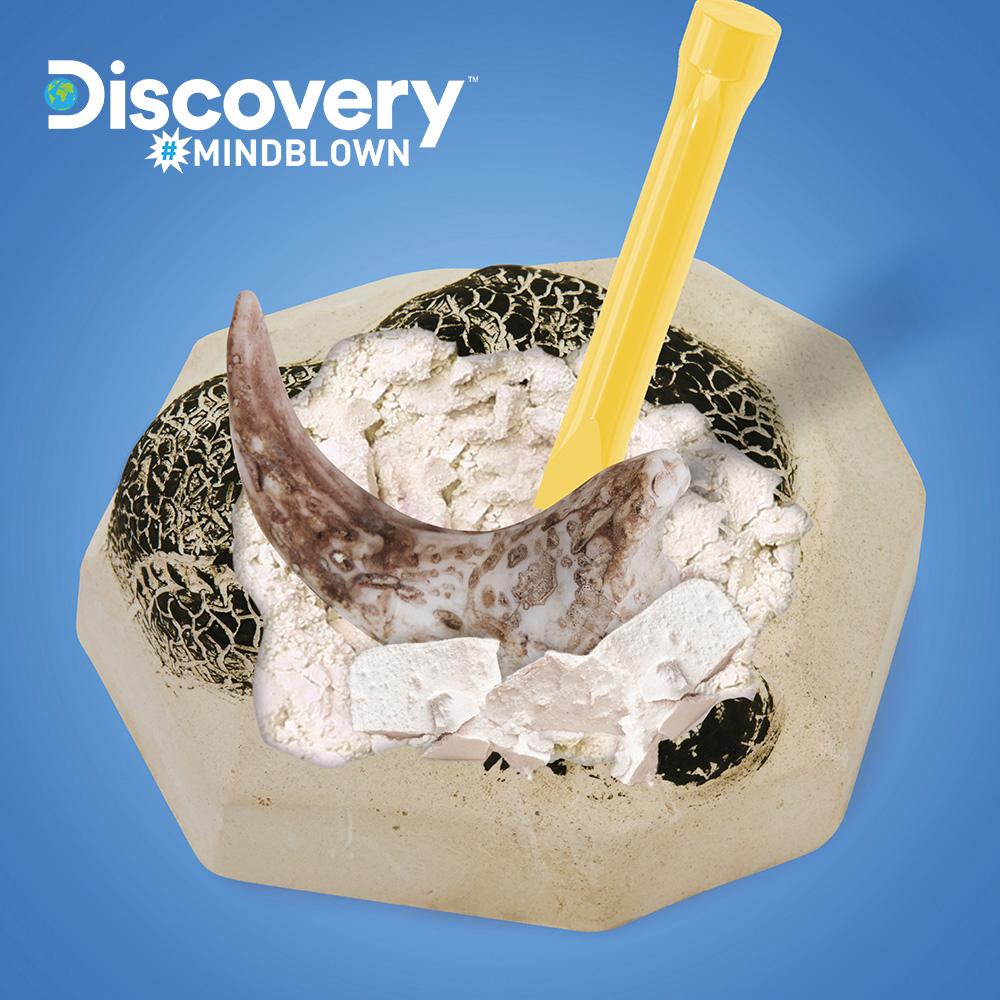 Toytron Discovery Mini Kit Dinosaur Fossil Excavation