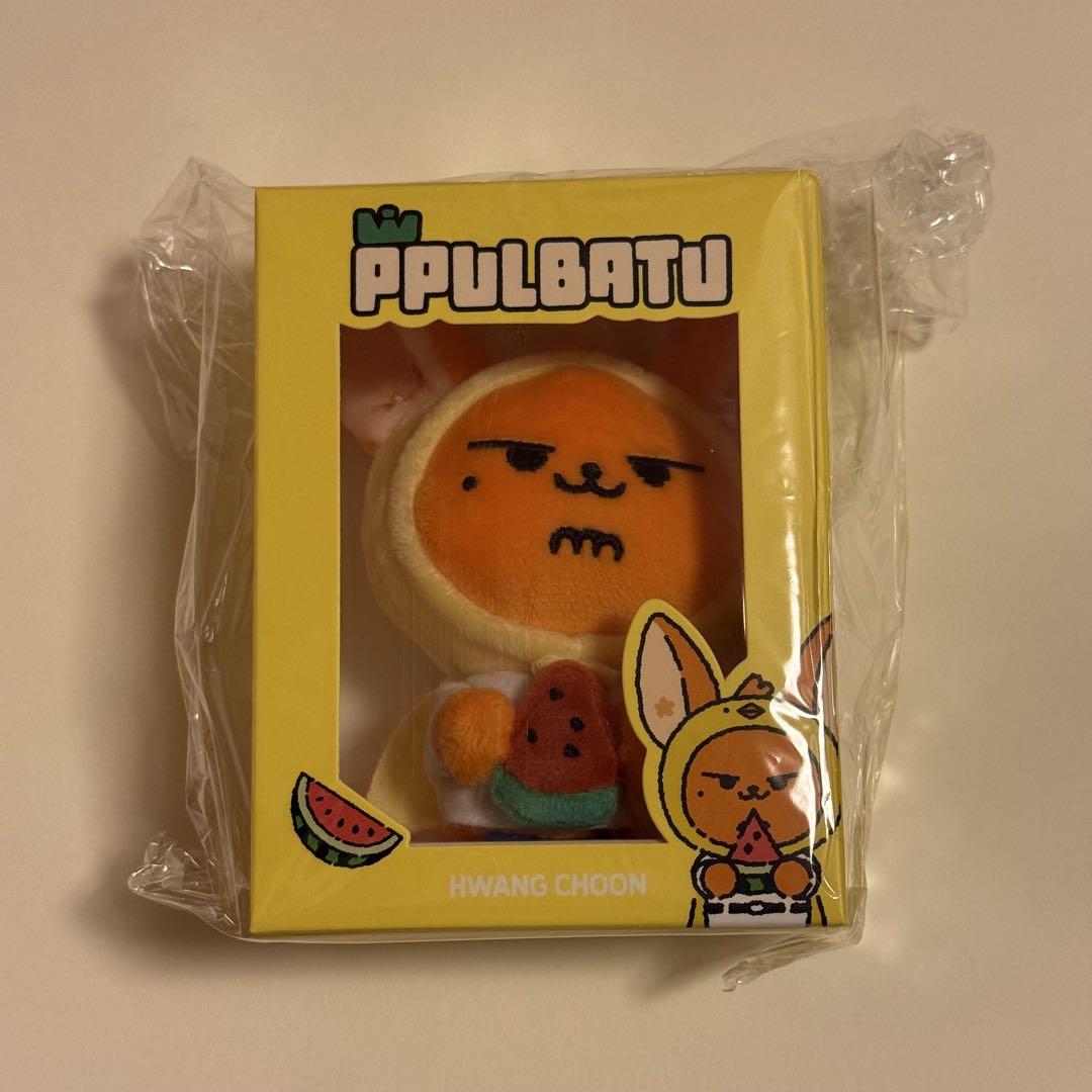 

[USED] TXT Purbatu Key Ring Fanchun