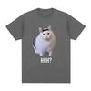 Gatto dice "Eh?" Maglietta Meme Divertente Uomo Donna 100% Cotone Traspirante Manica Corta Oversize T-Shirt Moda Harajuku Tee Shirt