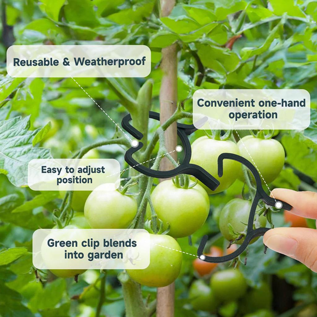 100/200pcs Plant Clips 3 Size Clips for Attaching Plants Garden Clamp Plant Support Clamp Climbing Plant Clip Plant Clip