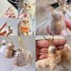 Cat Hair Storage Capsule Keychain With Acrylic Material For Collectors Gift And Party Decor