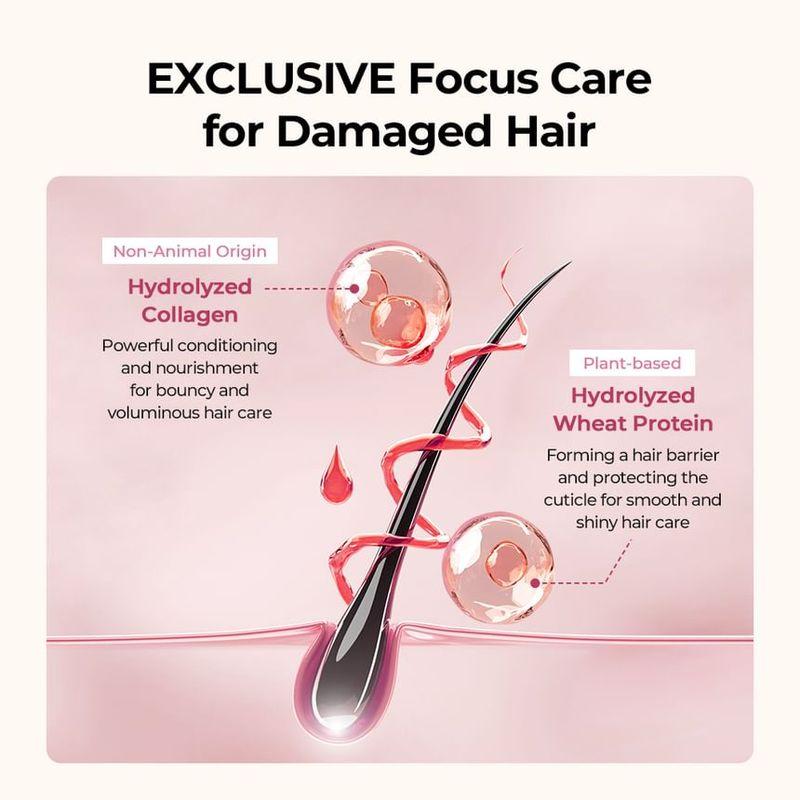 JULYME - Damage Care Perfume Shampoo - 3 Types