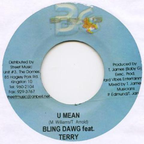 7inch Record BLING DAWG, TERRY - U Mean Baby G 2005 Jamaica Reggae, Ska & Dub