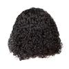 European American Wigs Women's Hoods Short Small Rolls Wavy Fluffy