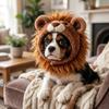 Funny Dog Plush Lion Hat Skin Friendly Cat Costume Headwear Cat Lion Shape Hood  Birthday Gift