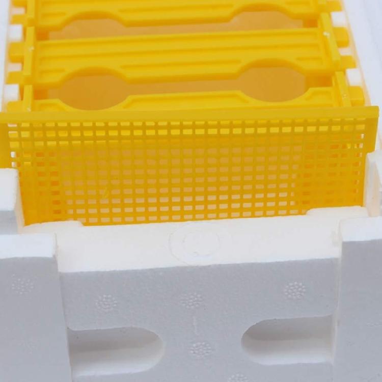 Foam Bees Box Versatile Bees Pollination Box Foam Bees Hive Queen Bees Rearing Bees hives Beekeeper Supplies Copulation