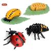 Oenux Simulation Luna Moth Salmon Butterfly Ants Life Growth Cycle Animals Model Action Figures Educational Miniature Kids Toy