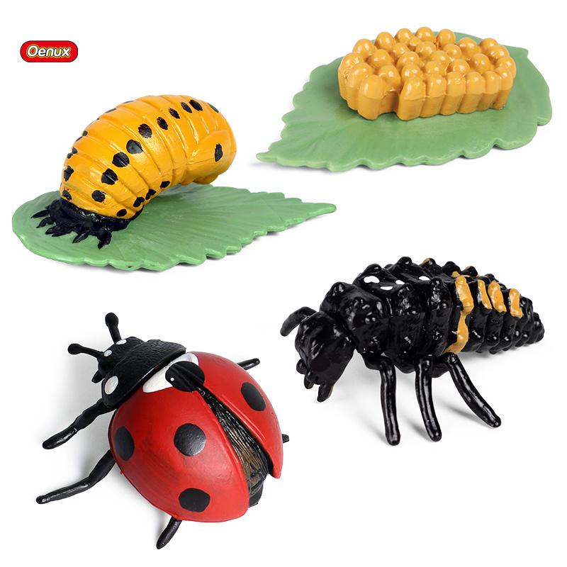 Oenux Simulation Luna Moth Salmon Butterfly Ants Life Growth Cycle Animals Model Action Figures Educational Miniature Kids Toy