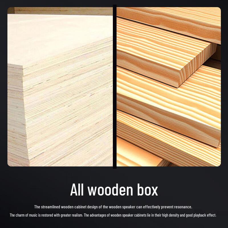 SAST WD-15 15-inch Portable Bluetooth Karaoke Speaker CN plug (adapter included)