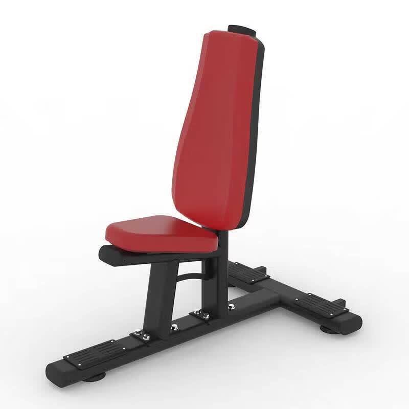 Multi-functional Core & Back Training Bench