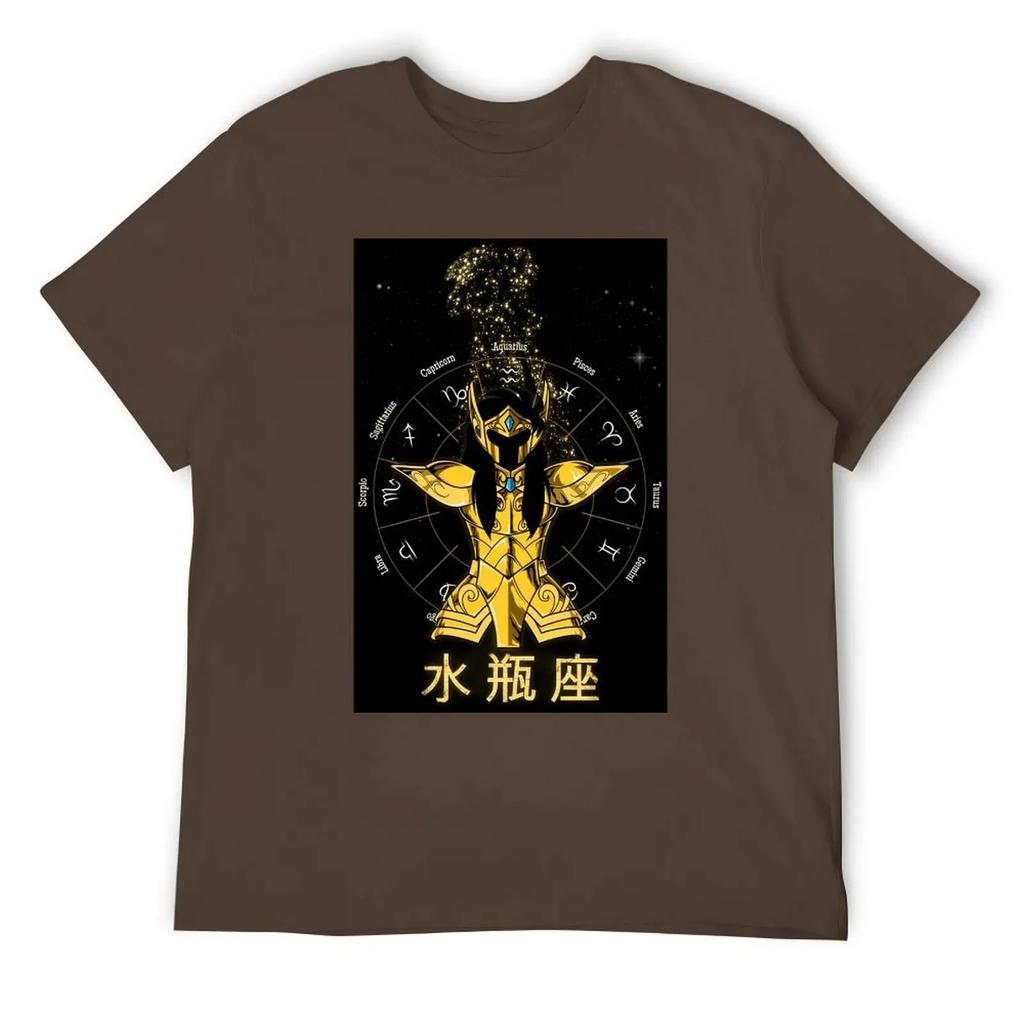 Aquarius Twelve Constellation (15) T-shirt Round Neck Sports Top Tee Premium Home Graphic USA Size
