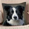 One Decorative Pillowcase Featuring a Border Collie Design, Made of Soft Plush Material with a Zipper Closure. It'S Hand Washable And Crafted from Pol