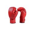 Xintaihang Adult Boxing Gloves