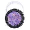 1 Box Nail Decoration Small Shells Debris Nail Modification 6 Color Nail Bueaty Nail Art