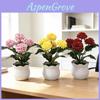 Artificial Chrysanthemum Desk Plant With Silk And Plastic Craft For Wedding And Photography Props
