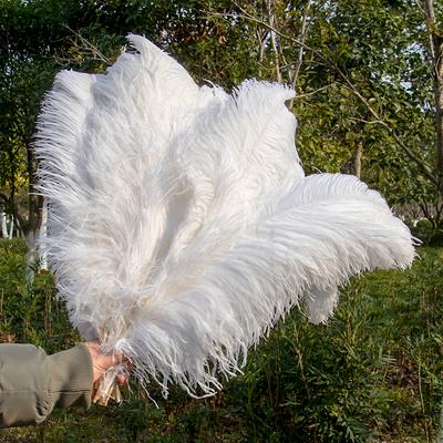 10 stukslots Natuurlijke Witte Struisvogelveren 15-50cm Grote Plumas voor Bruiloft Huisdecoratie Struisvogelveren Tafeldecoratie Knutselen