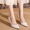 Pointed Toe High Heels Women's Autumn New Retro Metal Toe Shallow Mouth Anti-slip Wear-resistant Stiletto Single Shoes