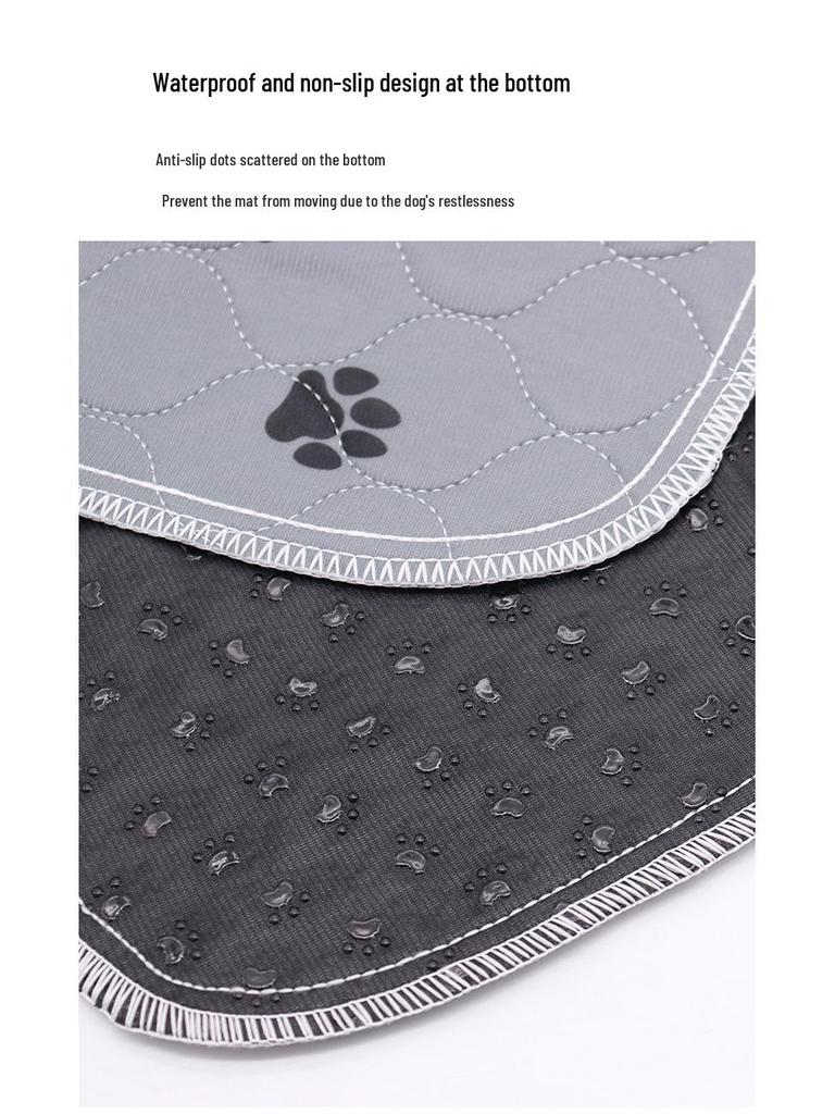 Thickened Pet Training Pad: Strong, Washable Absorption for Dogs & Cats