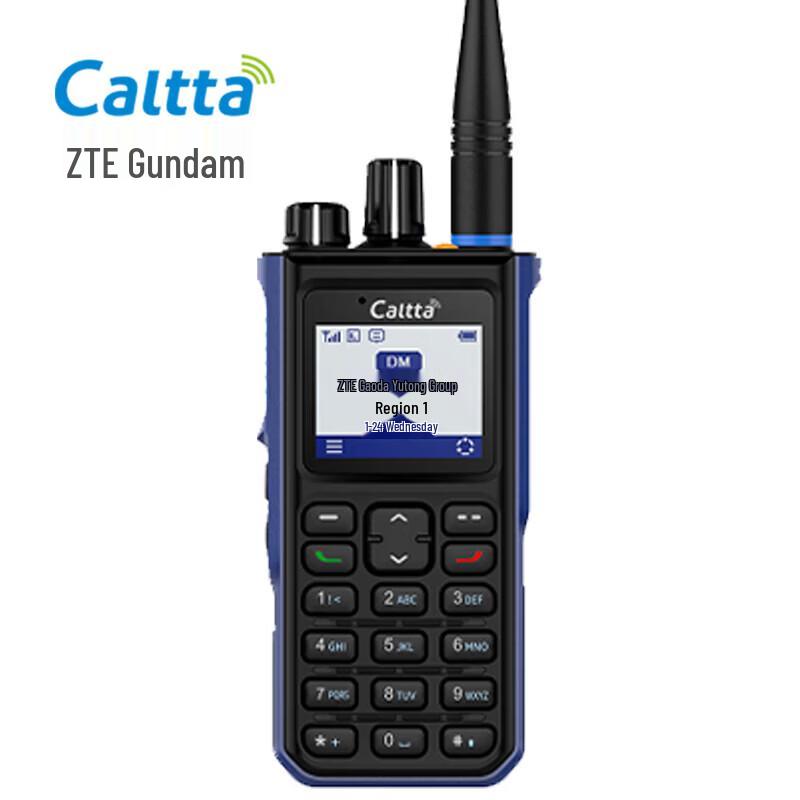 Caltta RH596 Professional Digital Walkie-Talkie (CN Version)