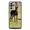 Galgo Greyhound Dog Phone Case For Samsung Galaxy S25 Edge S24 S23 S22 S20 Ultra S21 FE 5G S10 Plus Soft TPU Cover