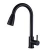 black piping, 2-function spray