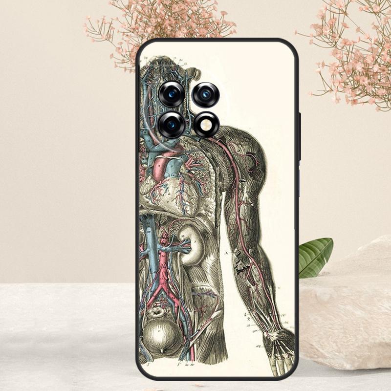 Medical Human Anatomy Case For OnePlus 12 11 9 10 Pro 10R 8T 10T 12R OnePlus Nord CE 3 2 Lite N30 N20 N10 Cover