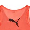 Puma Team Vest Bib Vest