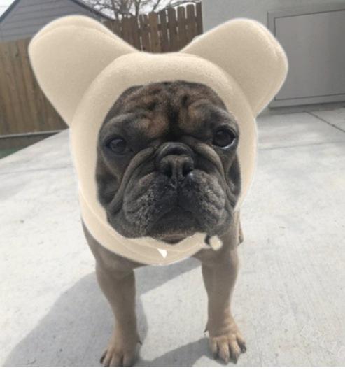 

Dog Casual Warm Color Pet Cute Hat L бежевый