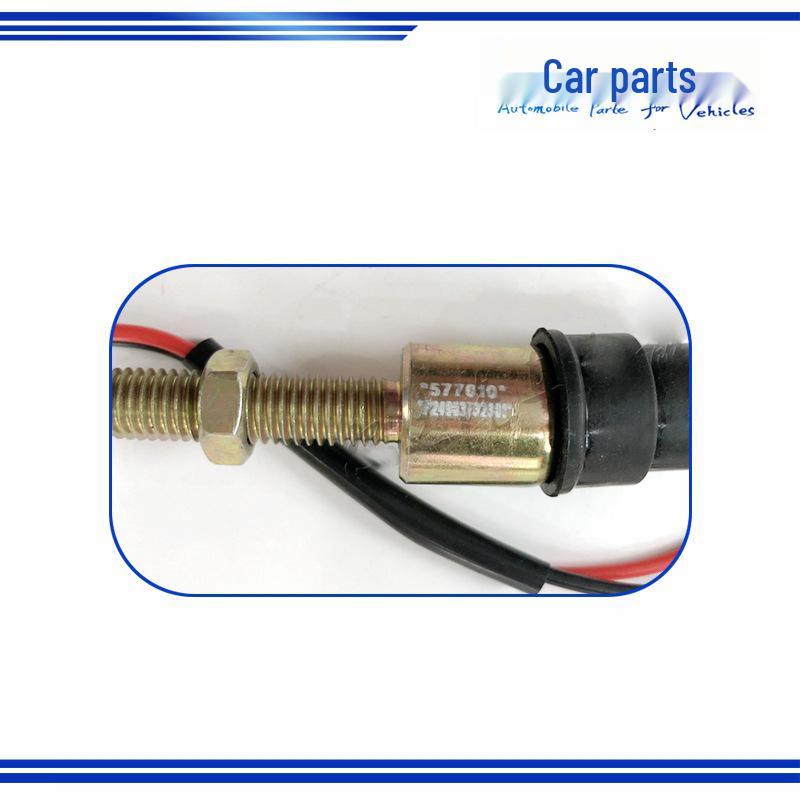 Brake Signal Light Sensor for Shanxi Dayun Heavy Truck N80 - Brake Light Switch P24903732301