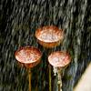 Long Stem Rain Collectors 3-Tier Bowl Insect Watering Station Metal Bird Bath  Garden Stakes